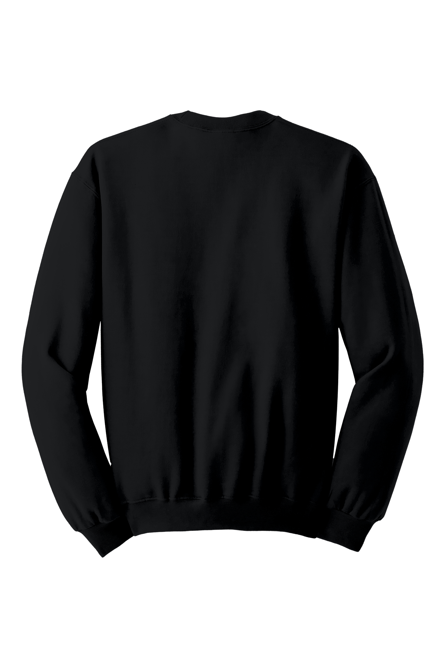 Unisex Midweight Cotton Sweatshirt